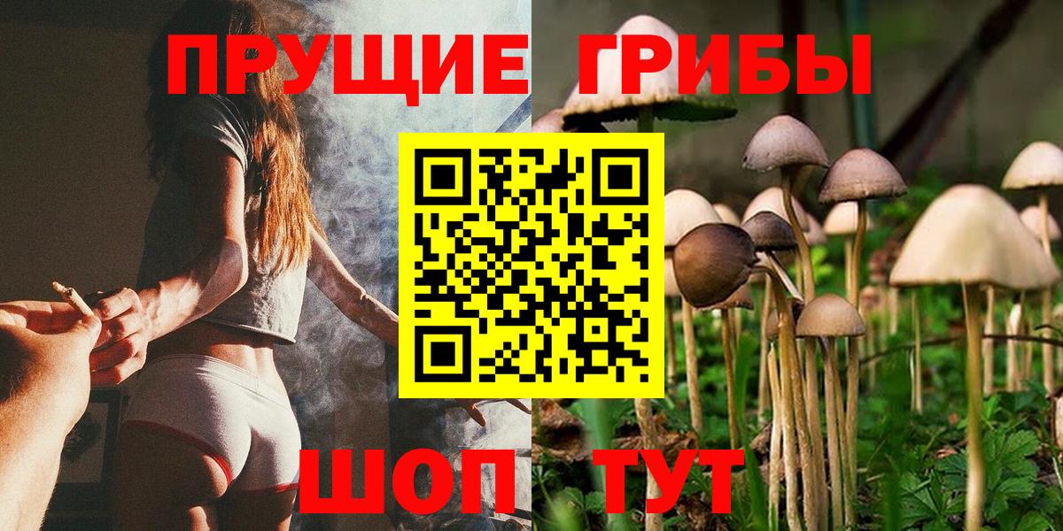 Бошки Шишки Избербаш