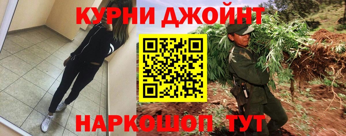 Каннабис конопля Избербаш